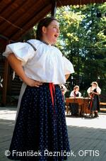 Folklorní festival Slezské dny