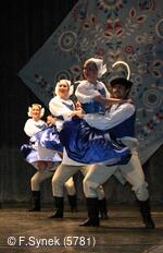 Národní krojový ples