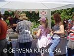 Sousedské slavnosti 2009 - pardubický perník JaJa